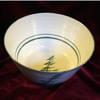 Dinnerware with green Windswept Pine.  
4 piece place setting includes dinner plate and a mug and for Cobi and Bryce a lunch/dessert plate and a cereal bowl $135 